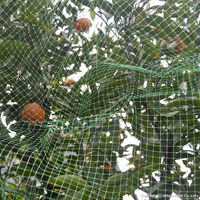 日本マタイ ふわっと蝶鳥 2×20m HC02832 1セット(1枚×4)