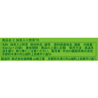 【水出し可】宇治の露製茶　伊右衛門　抹茶入り煎茶ティーバッグ　1セット（960バッグ：20バッグ入×48箱）