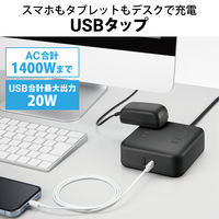 電源タップ USBタップ 2m コンセント 4個口 USB-C×1 A×1 雷ガード 黒 T-U04-4220BK エレコム 1個（直送品）