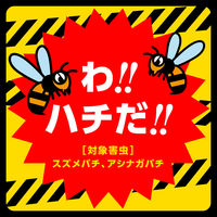 アース製薬 緊急スズメバチよけスプレー 200ML ハチよけ対策 蜂 スプレー 892319 1本