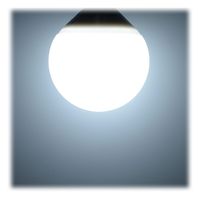 オーム電機 LEDボール球 E26 6.8W D 06-3166 1個