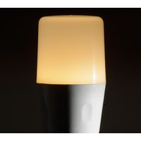 オーム電機 LED電球 T E26 7W 電球色 06-3607 1個