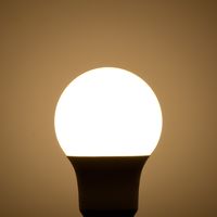 オーム電機 LED電球 A E26 4.6W L 06-4454 1個