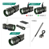 オーム電機 ＬＥＤ充電式ライト　ＬＨーＣ４８Ａ５ 08-0744 1個