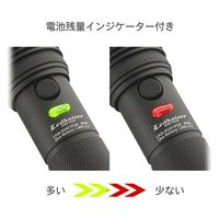 オーム電機 LEDズームライト 700 08-1017 1個