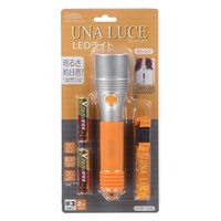 オーム電機 LEDライト LHPー05D5ーD 08-1502 1個