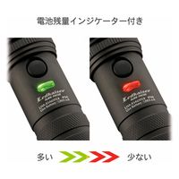 オーム電機 LED高機能ライト KS461PZ 08-1038 1個