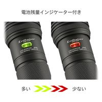 オーム電機 ＬＥＤ高機能ライト　ＫＳ４４１Ｚ  08-1037 1個（直送品）