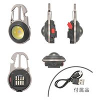 オーム電機 コンパクトツールライトLHーCC91A5 08-1518 1個