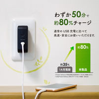 オウルテック PD30W & PD18W対応 2ポートUSB AC充電器ブラック OWL-APD48C2-BK 1個（直送品）