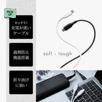 オウルテック 高耐久ノートPC充電OK PD100W Type-C Type-Cケーブル2m OWL-CBKGBCC20-BK 1個