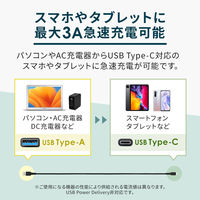 オウルテック USB3.2Gen2最大10Gbps対応 USB A to C ケーブル OWL-CBKG2PAC10-BK 1個