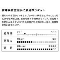 VICTAS（ヴィクタス) 卓球 ラケット BLOCKMAN CHN 310203 1本（直送品）
