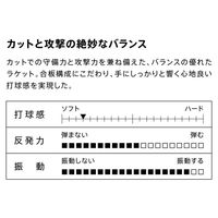 VICTAS（ヴィクタス) 卓球 ラケット SUPER DEFENSIVE ST 310195 1本（直送品）