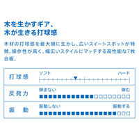 VICTAS（ヴィクタス) 卓球 ラケット SWAT CHN 310003 1本（直送品）