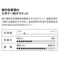 VICTAS（ヴィクタス) 卓球 ラケット V-WOOD FL 310244 1本（直送品）