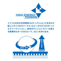 VICTAS（ヴィクタス) 卓球 ラバー V>15 スティフ 2.0 ブラック 020521 1枚（直送品）