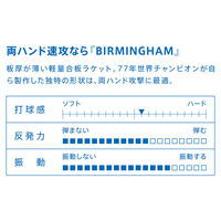 VICTAS（ヴィクタス) 卓球 ラケット BIRMINGHAM 77 300012 1本（直送品）