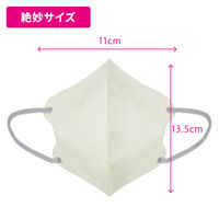 カワイイ女の贅沢マスク Style×Color 立体マスク（ピスタチオ×グレー）1箱（30枚）バイカラーマスク