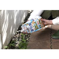 アースガーデン おうちの草コロリ 粒タイプ 除草剤 雑草対策 900g 1個 アース製薬