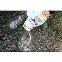 アースガーデン おうちの草コロリ 粒タイプ 除草剤 雑草対策 3kg 1個 アース製薬