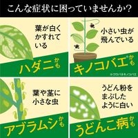 コバエ 駆除 スプレー BotaNice ボタナイス 植物の虫・病気対策 500ml 殺虫剤 観葉植物 多肉植物 園芸用品  1個 アース製薬