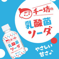 伊藤園 チチヤス チー坊の乳酸菌ソーダ 280ml 1箱（24本入）