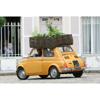 BACSAC BC-402 バックスクエア 300L 1個（直送品）