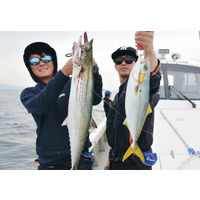 ハヤブサ HB FS426-60-5 TG ミドキン 1個（直送品）