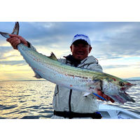 ハヤブサ HB FS438-40-4 マキマキ ケイムラピンクキャンディ 1個（直送品）