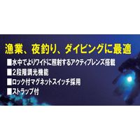 ハイパワー LED水中ライト 水深60m防水 単3形乾電池×4本用（別売） YF-160 1個 Hapyson（ハピソン）