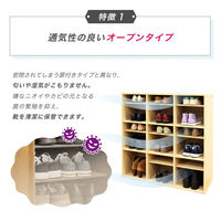 ネットフォース シューズラック 靴箱 3列3段 9人用 ブラウン NF-SR0909-9-AW 1台（直送品）