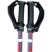 HATACHI(ハタチ) ウェルネス ノルディックウォーキング用 ポールジョイント16 WH5600 10個（直送品）