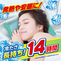 アイスノンソフト ＜長時間＞ 白元アース 1セット(3個) 氷枕 アイスまくら 冷却用品 発熱 睡眠 保冷 ひんやりグッズ