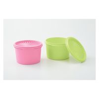 Tupperware ミニデコレーター(2)グリーン・ライトピンク B0155 1個（直送品）