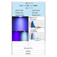 ボルクスジャパン GrassyLeDioRX121s Reef 銀 E26 ライト LED 268855 1個（直送品）