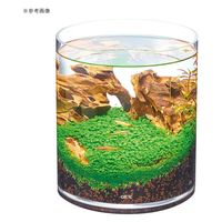 ジェックス GEX グラスアクア シリンダー N 18cm 269432 1個（直送品）