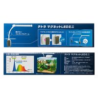 テトラ マグネットLED ミニ 269843 1個（直送品）