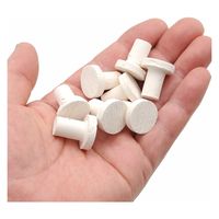 アクア・テイラーズ Oceans Wanders セラミック コーラルフラッグ プラグ 25個 560517 1個（直送品）