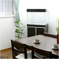 鈴木製作所 ニュークリスタル・カラフル水槽 YTー51(60×45×45cm)60cm水槽(単体) 42069 1個（直送品）