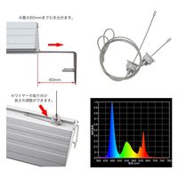 チャーム アクロ TRIANGLE LED VIVID 900 274345 1個（直送品）