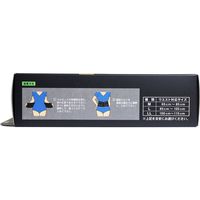 ミノウラ 山田式 腰椎コルセット W加圧ベルト Lサイズ 4907706300785 1枚