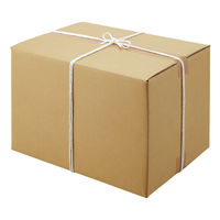 コクヨ PPロープ チーズ巻 50m ホヒ-52NW 1巻