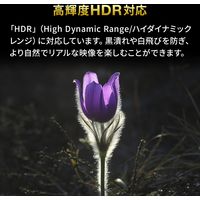 サンワサプライ 4K・HDR・HDCP2.2対応HDMI切替器(2入力・1出力または1入力・2出力) SW-HDR21BD 1個（直送品）