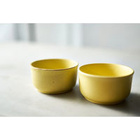 アイトー #0111030 蓋付一膳おひつ イエロー 1個（直送品）