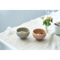 アイトー #0113508 カレット ペアボウル 1組（直送品）