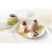 アイトー #0262050 トキメキ色 プレート プラム 1枚（直送品）