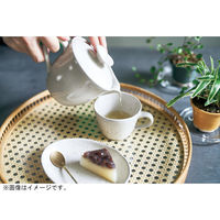 アイトー #0288506 景 卯の花 ポット 1個（直送品）