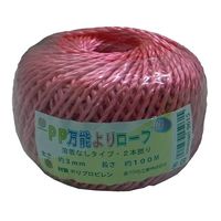 エスコ 3.0mmx100m PPロープ(溶着なし/赤) EA628PR-31 1セット(10個)（直送品）