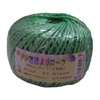 エスコ 3.0mmx100m PPロープ(溶着なし/緑) EA628PR-33 1セット(10個)（直送品）